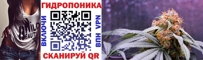 Купить наркотики цена Фролово Псилоцибиновые грибы  А ПВП  Мефедрон  Бошки Шишки  Гашиш 