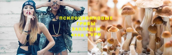 таблы Арсеньев