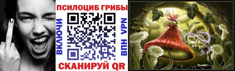 Псилоцибиновые грибы MAGIC MUSHROOMS  Фролово 